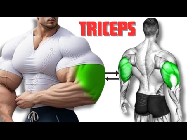 8 Best Biceps and Triceps Exercises for Bigger Arms Fast 