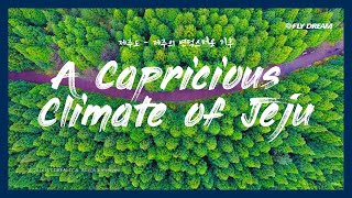 [플라이드림]JEJU Island : a capricious climate of jeju (제주도 항공촬영/4K)