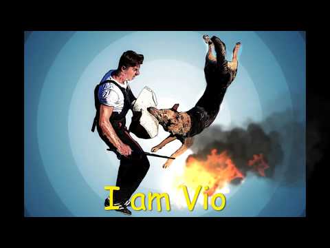Belgian Malinois dog