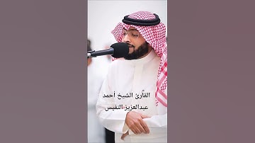 ما تيسر من سورة الأحقاف|القارئ الشيخ أحمد عبدالعزيز النفيس #القرآن_الكريم #احمد_النفيس #سورة_الأحقاف