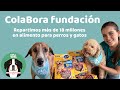 Así vivimos la primera edición de COLABORA Fundación - Lauvet