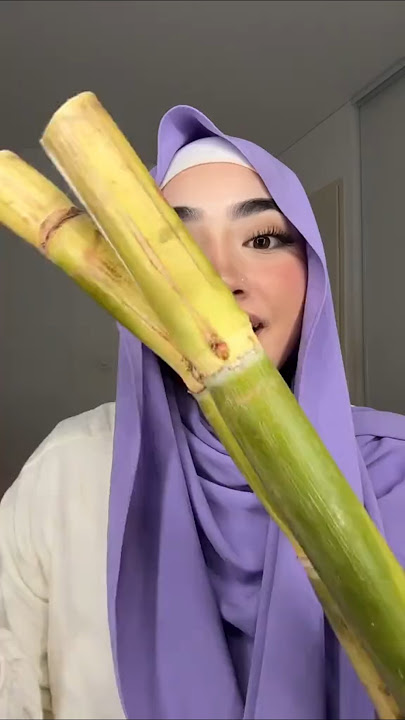 Cannes à sucre #degustation #pourtoi #fyp #repost