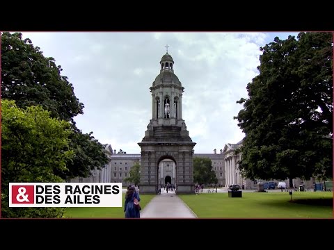 Vidéo: La Bibliothèque nationale d'Irlande : le guide complet