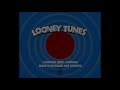 Looney tunes studio id 20202023