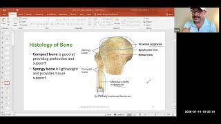 Chapter 6 Part 1 Lecture Video