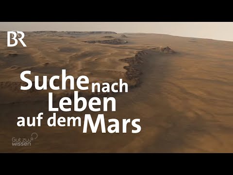Video: Auf Dem Mars Fanden Spuren Des Alten Lebens - Alternative Ansicht