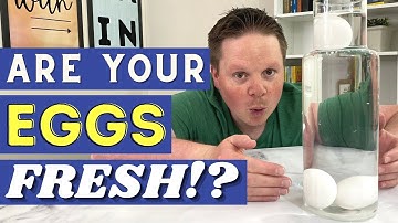 Egg Freshness Test In Water | How To Know If An Egg Is Fresh | Fresh Egg Life Hack