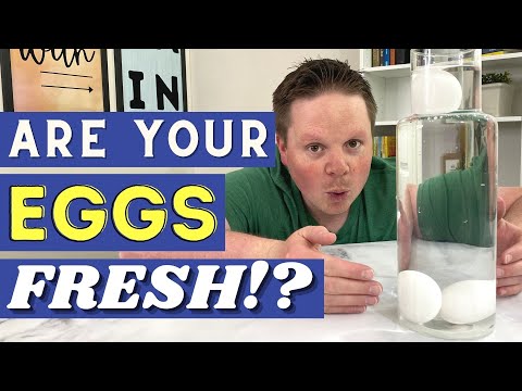 Egg Freshness Test
