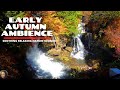 Beautiful Nature Scenery🍂🍁 Autumn Waterfall ASMR in a Colorful Valley Falls Fall Foliage 4k Relax