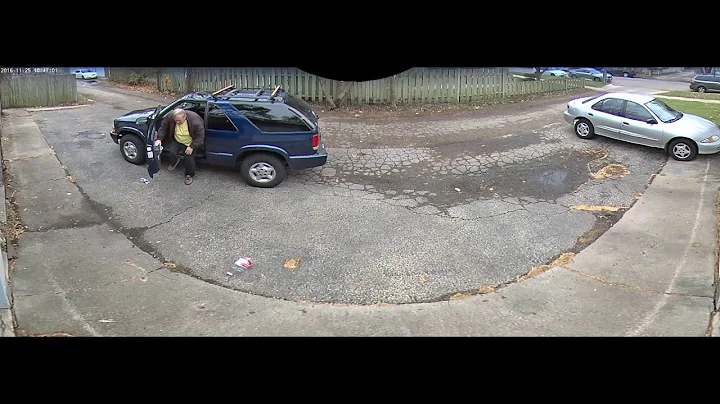 Pat Reese 11-25-16 dumping trash in the alley
