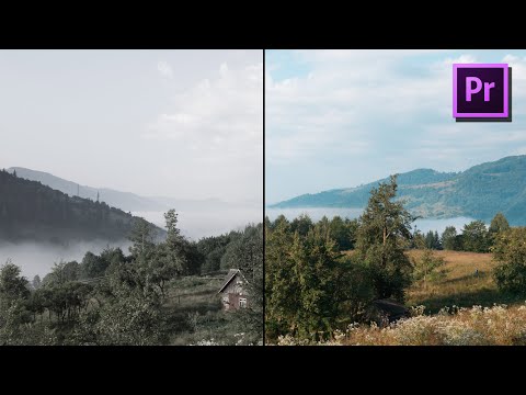 Базовая цветокоррекция в Premiere Pro