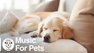 Dog's favorite music 🐶 Sleep relaxation music🎵Relieve separation anxiety and stress music for dogs by For Your Pets 677 views 5 days ago 3 hours, 2 minutes