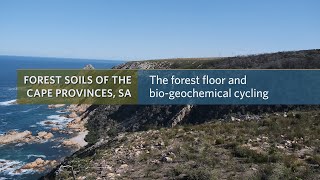 The forest floor and bio-geochemical cycling