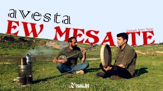 Avesta - Ew meşa te