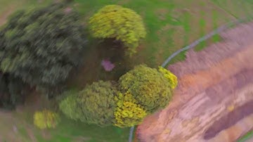 Testing Betaflight 3.5 Feed Forward Transition - Fpv Freestyle - 2/2