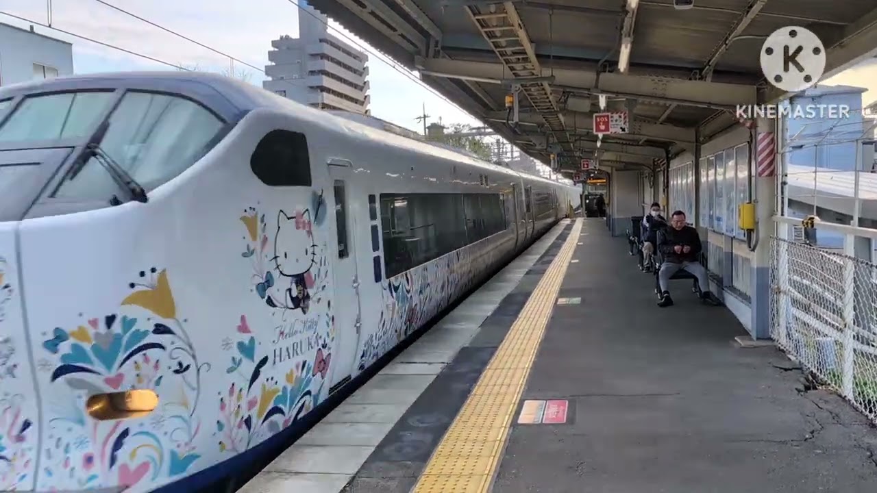 【2025年撮り納め】JR阪和線北信太駅、信太山駅高速通過集