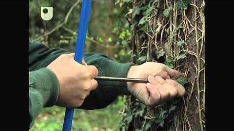 Records of Global Climate - Exploring the Science of Climate (2/5)