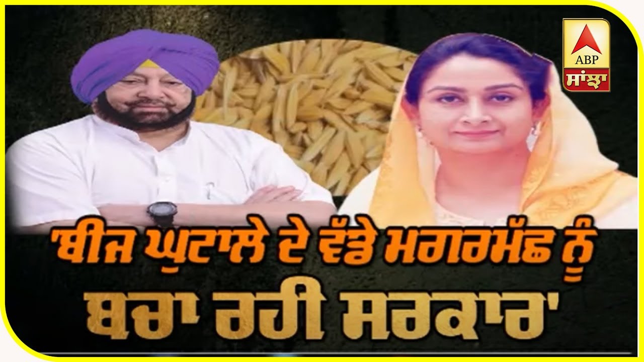 Seed Scam ਨੂੰ ਲੈ ਕੇ Harsimrat Badal ਨੇ ਕੈਪਟਨ ਸਰਕਾਰ `ਤੇ ਲਾਏ ਕਿਹੜੇ ਗੰਭੀਰ ਇਲਜ਼ਾਮ ? ABP Sanjha