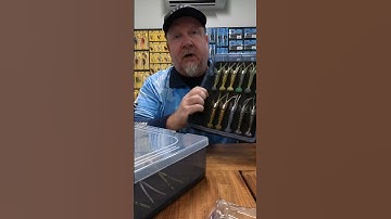 ZMan PrawnZ Elite Storage Solutions. #fishing #zman #shorts #lurefishing #softplastics #prawnzelite