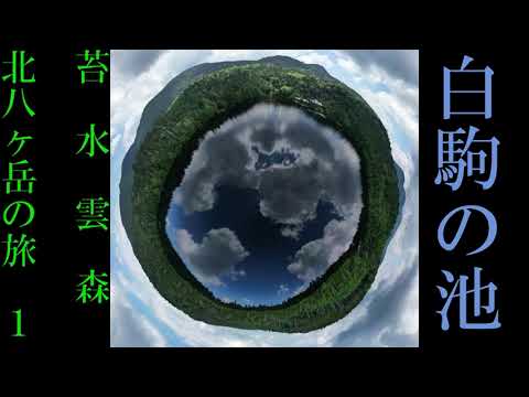 白駒の池ドローン空撮　長野県佐久穂町　 北八ヶ岳　Shirokomanoike Yatsugatake Sakuho-cho Nagano Japan