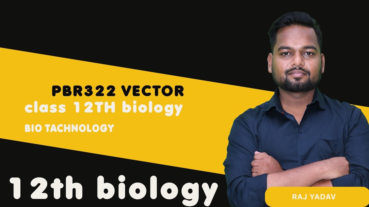 lec-5-pbr322-plasmid-vector-youtube