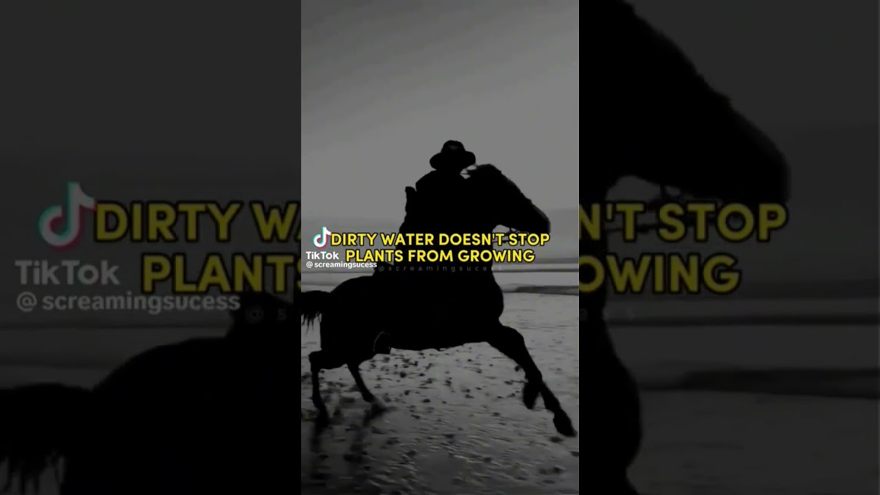 Don't stop Your Progress !!! 📈