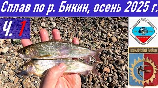 видео: Ч.1_Рыбалка и сплав длиной 90,4 км по реке Бикин осенью 2025 г., радиосвязь из тайги RA0LKG картинка: Ч.1_Рыбалка и сплав длиной 90,4 км по реке Бикин осенью 2025 г., радиосвязь из тайги RA0LKG