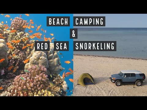 Saudi Arabia Camping on the Beach & Red Sea Snorkeling near Rabigh! كشتة Kashta رَابِغ‎