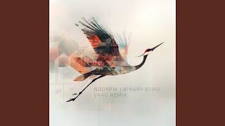 Binary Echo