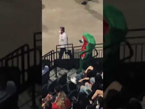 Watermelon Slices At Harry Styles Show In San Antonio 09.09.2021