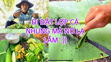 #1 Đặt Lợp Cá Lóc Ở Miền Tây Nhưng Mà Nó Lạ Lắm | fish trap