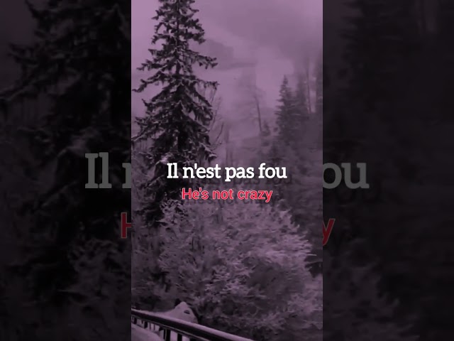 indila - love story | french song | [ l y r i c s+ r e v e r b]🌹 class=