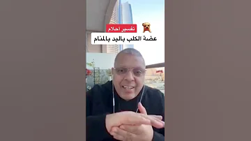 تفسير حلم عضة الكلب لليد أشرف العسال مفسر احلام عضةكلب 