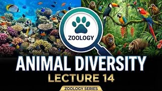 Zoology |Animal Diversity Lecture - 14 | Phylum Chordata Part 3 | Tetrapods & Amniotes