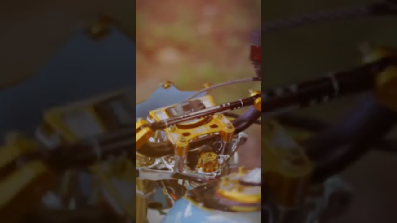 MEGAPRO SHOICHIRO|FULL AIR BUSH |KONTES