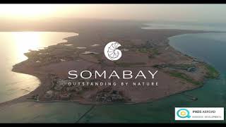 SOMA BAY