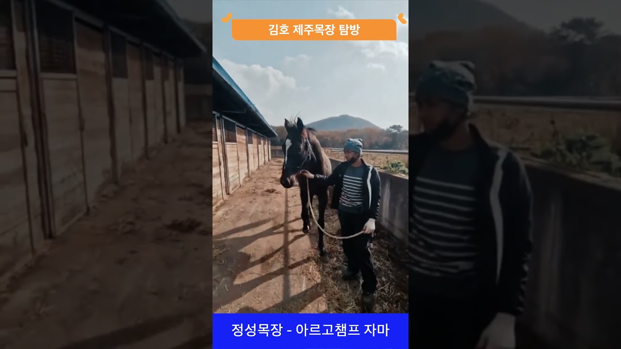 정성목장   아르고챔프 자마