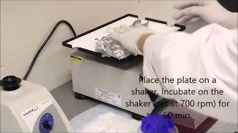 AimPlex Assay Video HD