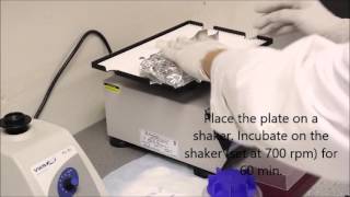 AimPlex Assay Video HD