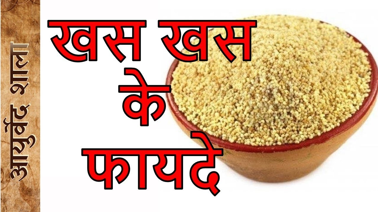 खस खस के फायदे और उपयोग khas khas grass| Ayurved shala 