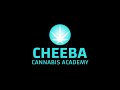 An Introduction to Cannabis Webinar - South Africa