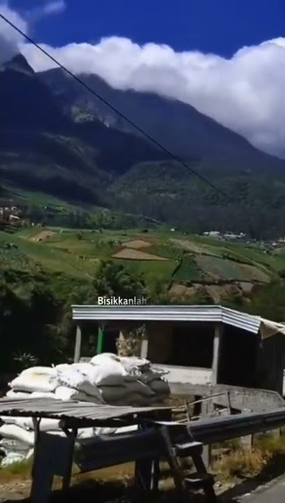 sampai ku mati - story wa