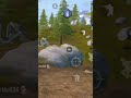 BGMI new update gameplay #bgmi #recorder #battleroyale#android #contentcreator #rankpush#bgmishorts