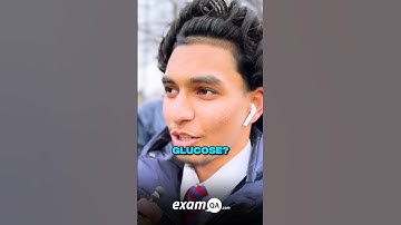 Battle Of The Brains | GCSE SCIENCE Edition | Hatchend High Ep.3 🧠🎯👨‍🔬#year11 #science