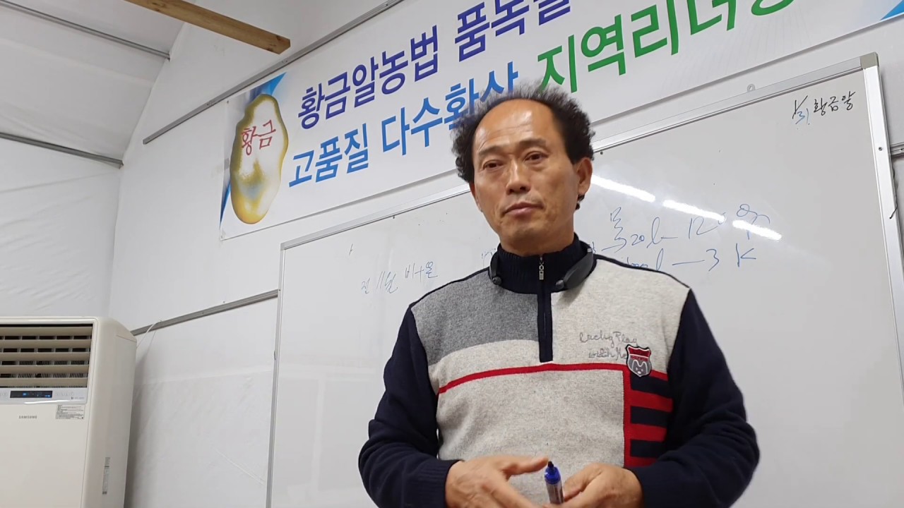 #사과 #자두 #복숭아#봄냉해#설탕 3kg #목면시비#황금알농법