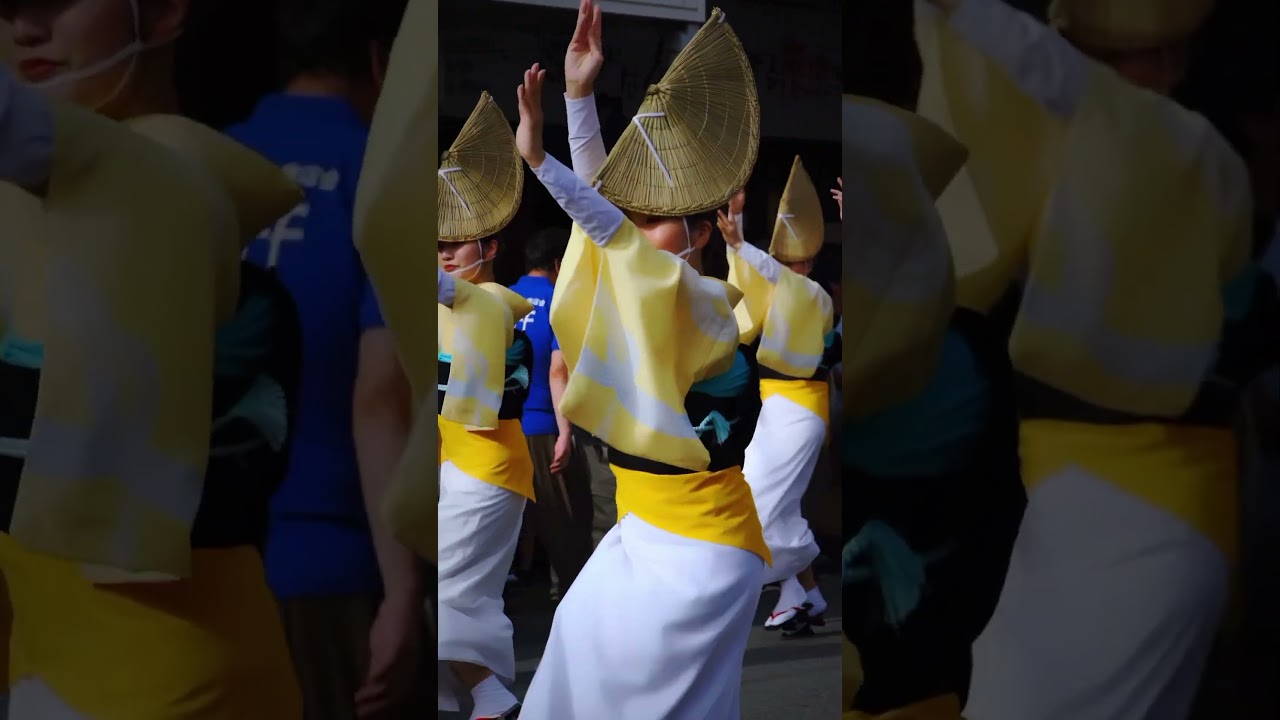 #天狗連 #阿波踊り #阿波舞 #japanesefestival #awaodori #awadance #tokushima #japanesedance #traditionaldance