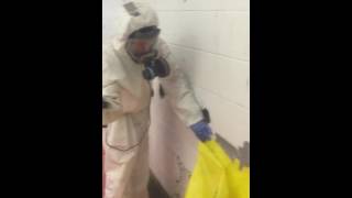 Vermiculite asbestos