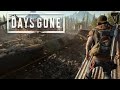 Прохождение Жизнь После ✔ Days Gone на русском