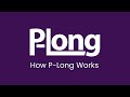 How does the P-Long Protocol work?