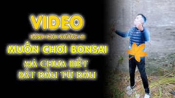 Video dành cho anh em nào muốn chơi Bonsai mà chưa biết nên bắt đầu từ đâu